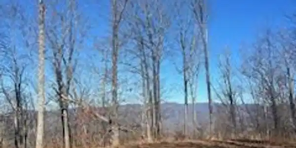 Lot 55 Timberwood Drive