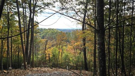 Lot 157 Roaring Forks Lane