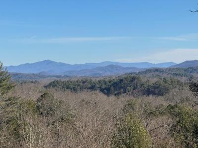 293 Alto Vista Road