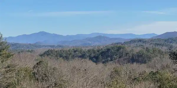 293 Alto Vista Road