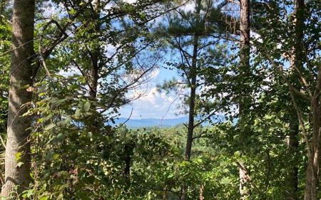 Lot 9 Aerie Vista Drive