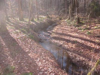 Pettit Road
