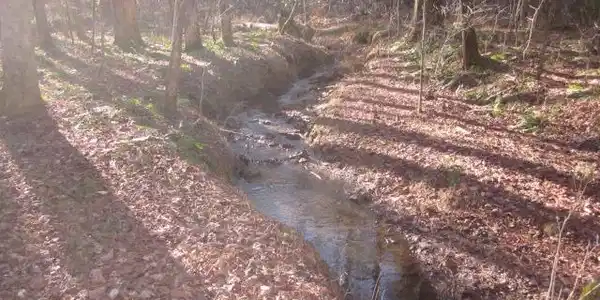 Pettit Road