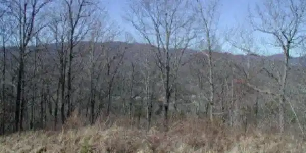 64M (Lot Mountain Harbour Drive