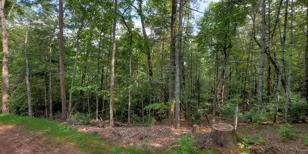 Sugar Creek Road