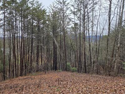 Lot 101 Eagles View Crescent