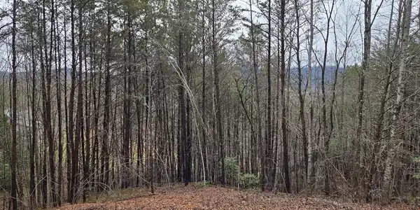 Lot 101 Eagles View Crescent