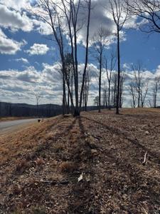 Highgrove Drive
