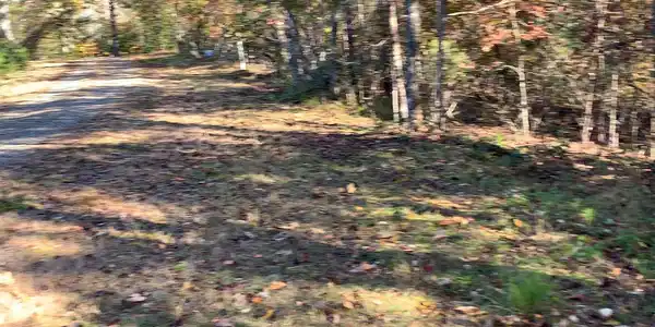 2B Ashley Trail