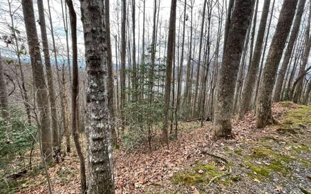 LOT19 Twin Mountain Road