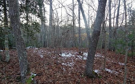 TRACT 2 Town Mountain Road