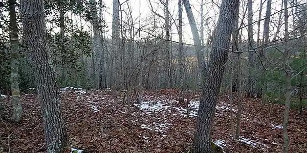 TRACT 2 Town Mountain Road