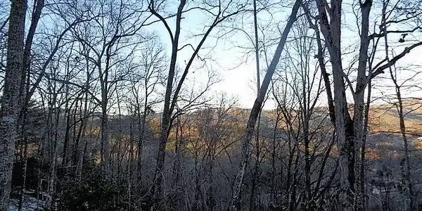 TR 1 Town Mountain Road
