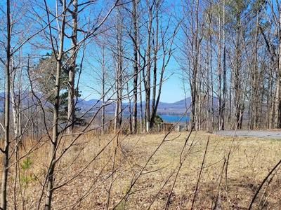 Lot 25 Dan Knob Drive