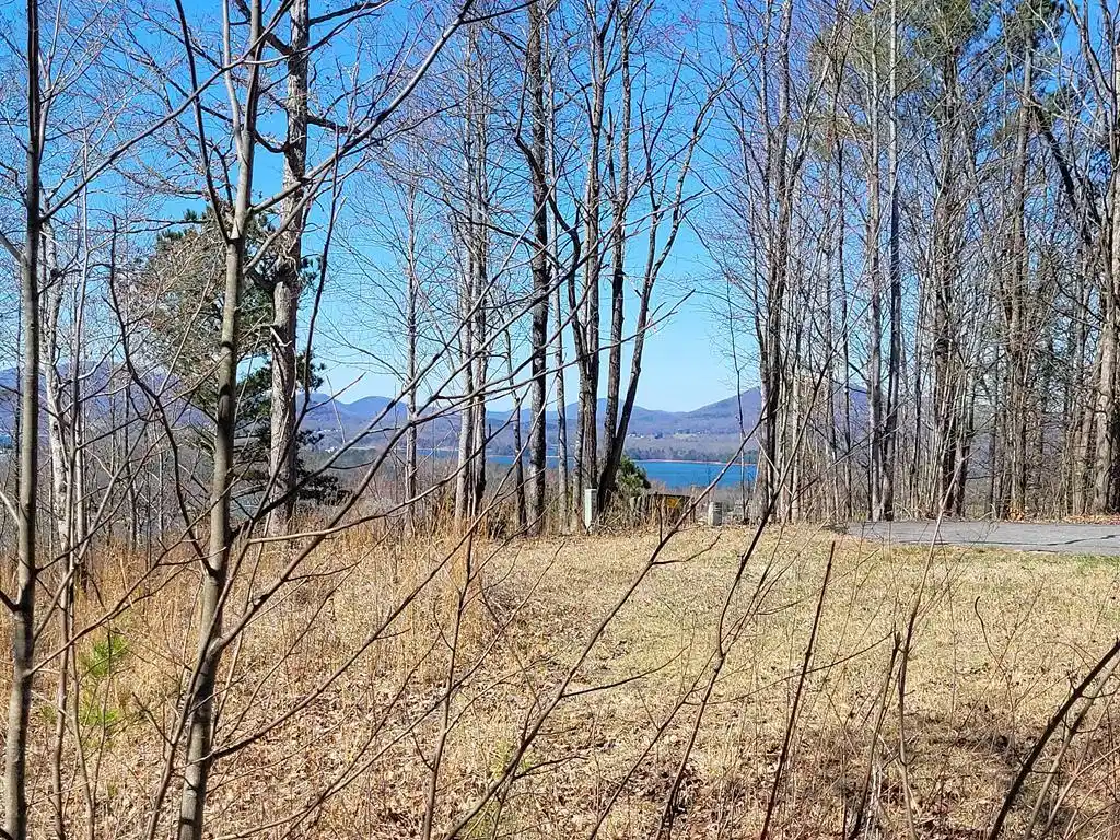 Image 1: Main View