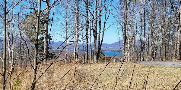 Lot 25 Dan Knob Drive