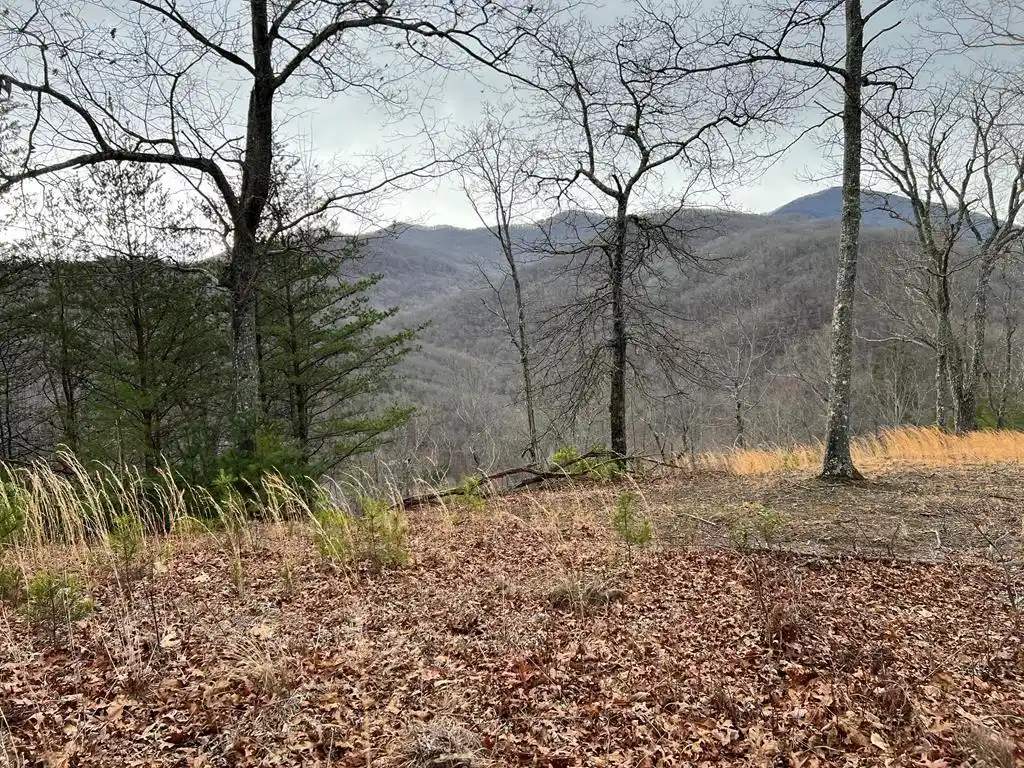Image 1: Main View