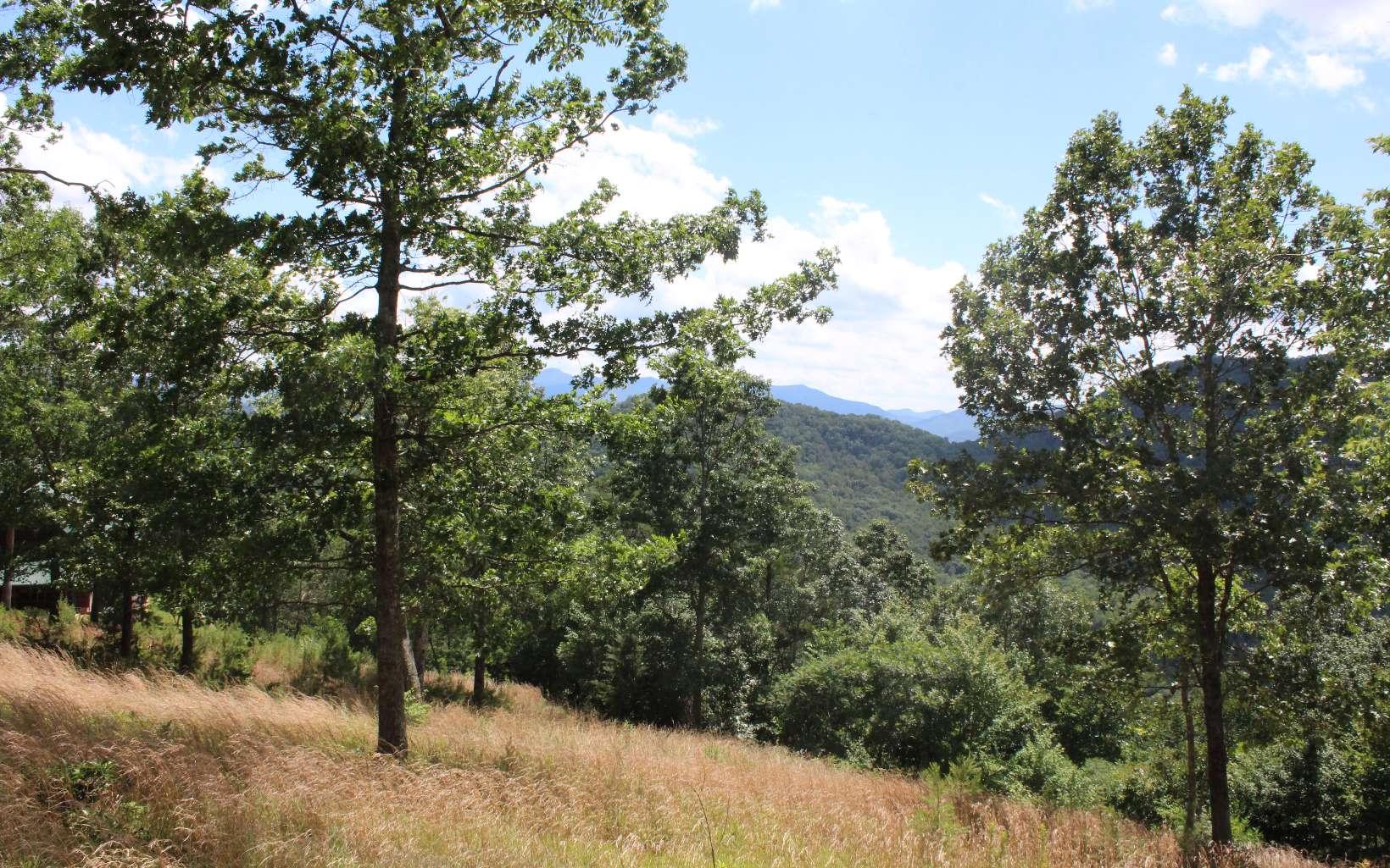 Image 2: Additional View