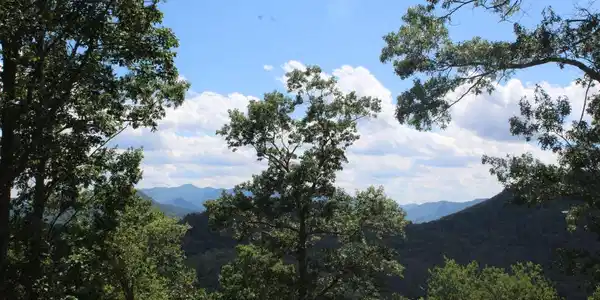 Image 4: Additional View