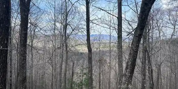 Pack Mountain Road