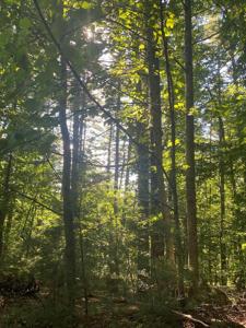Lot 35 Middle Creek Road