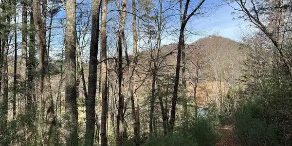 Downings Creek Road