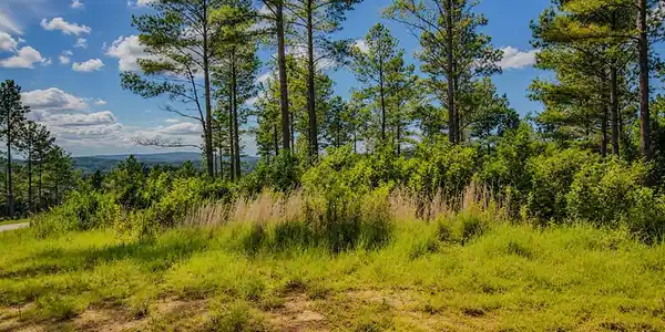 Lot 62 Seven Mile Creek Road