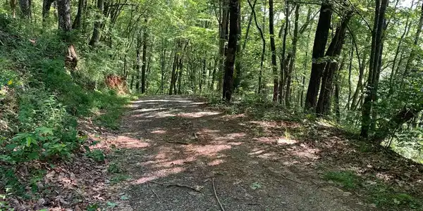 LT107 Steep Cove Road