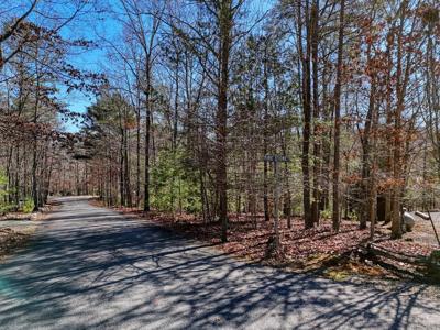 Lot 20 Wrought Iron Trail