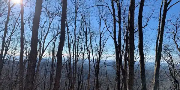 Lot 8 Wolf Mountain Estate