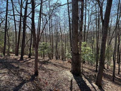 Lot 40 Asheland Cove Drive