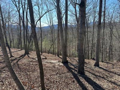 Lot 55 Asheland Cove Drive