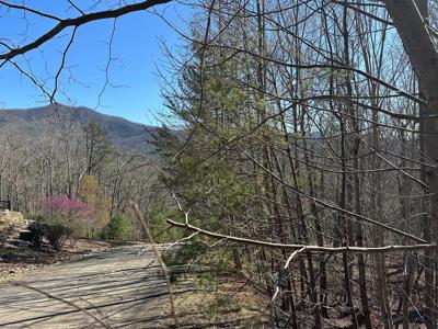 Lot 95 Asheland Cove Drive