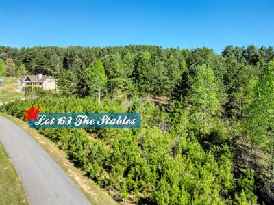 163 Stables Loop