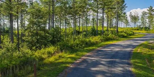Lot 68 High River Road