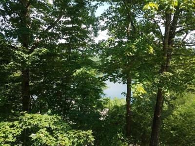 43 Kestrel Ridge Circle