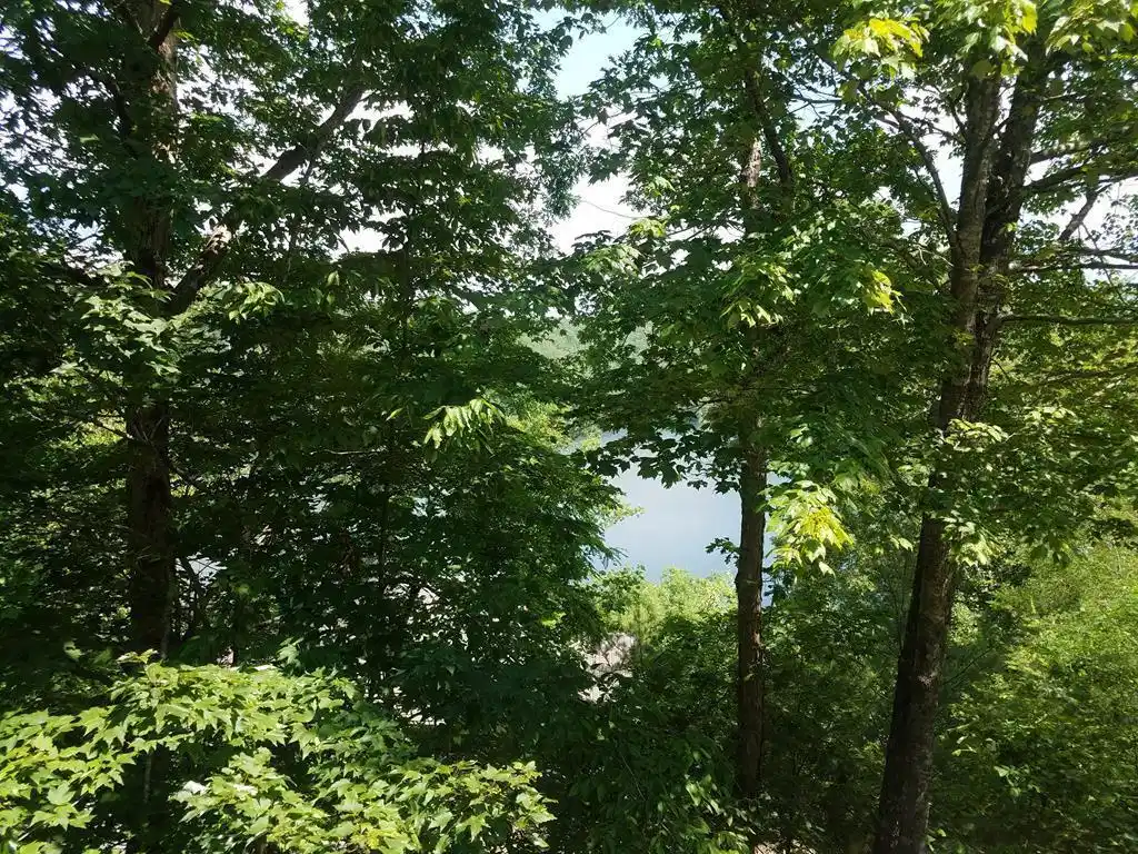 Image 1: Main View