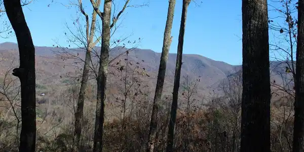 2 Gabriel Ridge