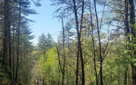 Whispering Creek Drive