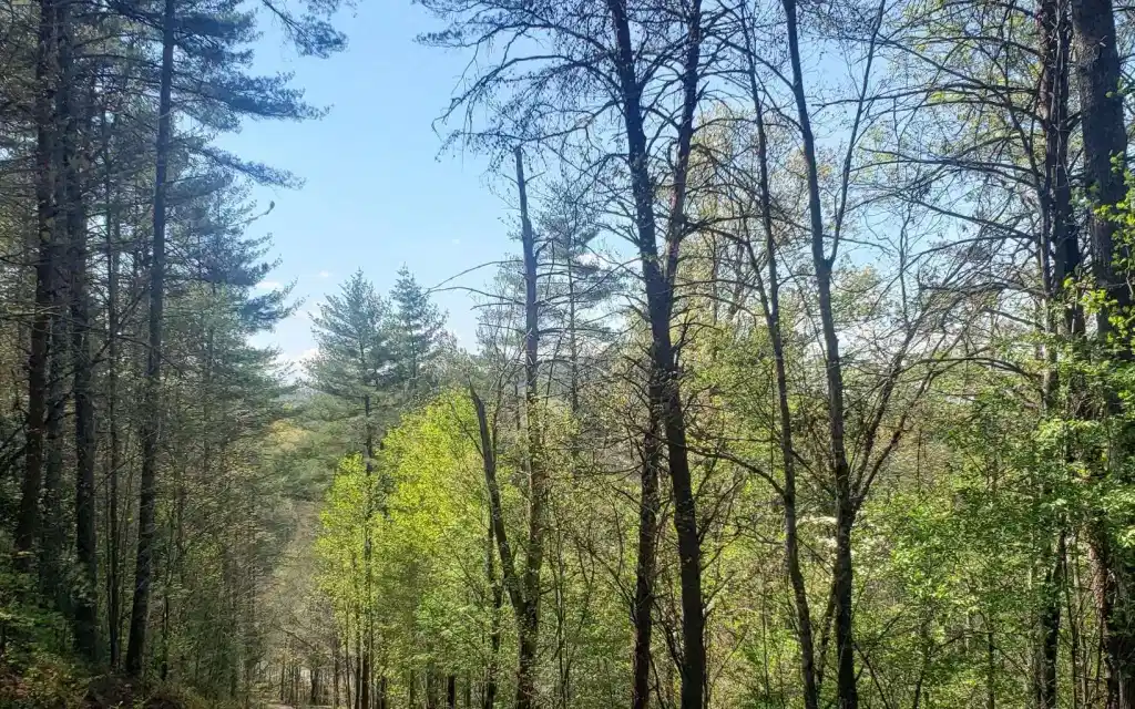 Image 1: Main View