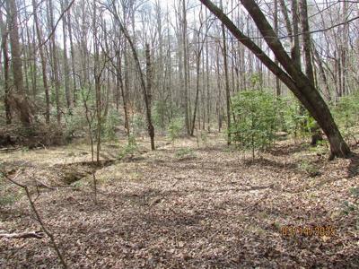 16.5 ac. Phillips Road