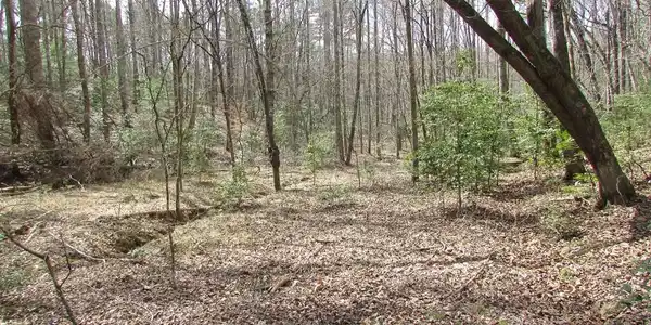 16.5 ac. Phillips Road