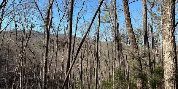 Lot 61 Laurel Trail
