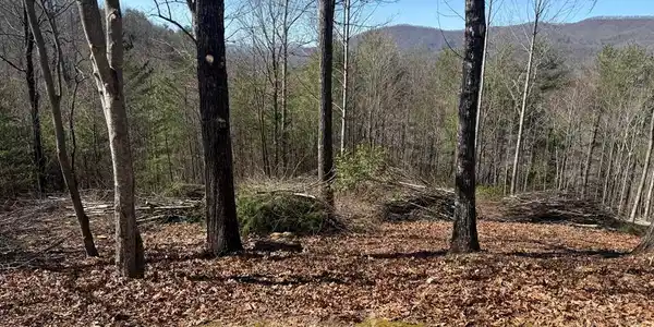 Lot 56 Fires Creek Cove Road