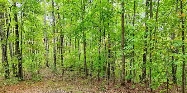 Lot 1 Skyview Drive