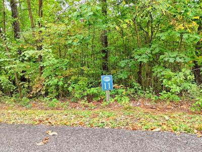 Lot 11 Skyview Drive