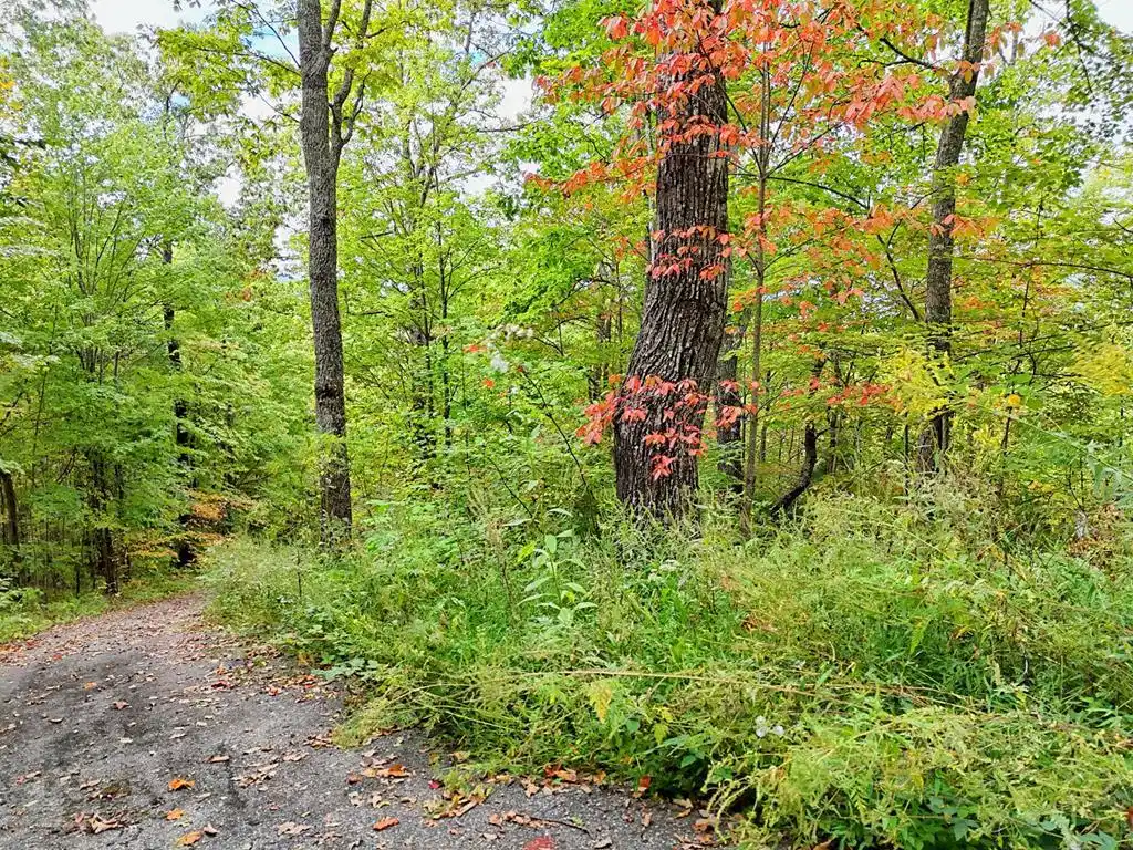 Image 1: Main View