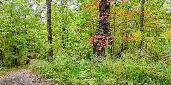 Lot 23 Skyview Overlook