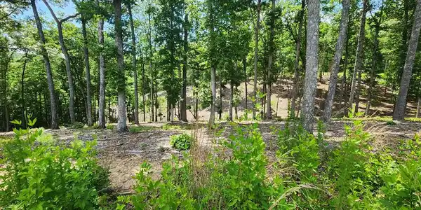 LT 106 Split Creek Road