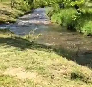 17.22 ac Skeenah Gap Road